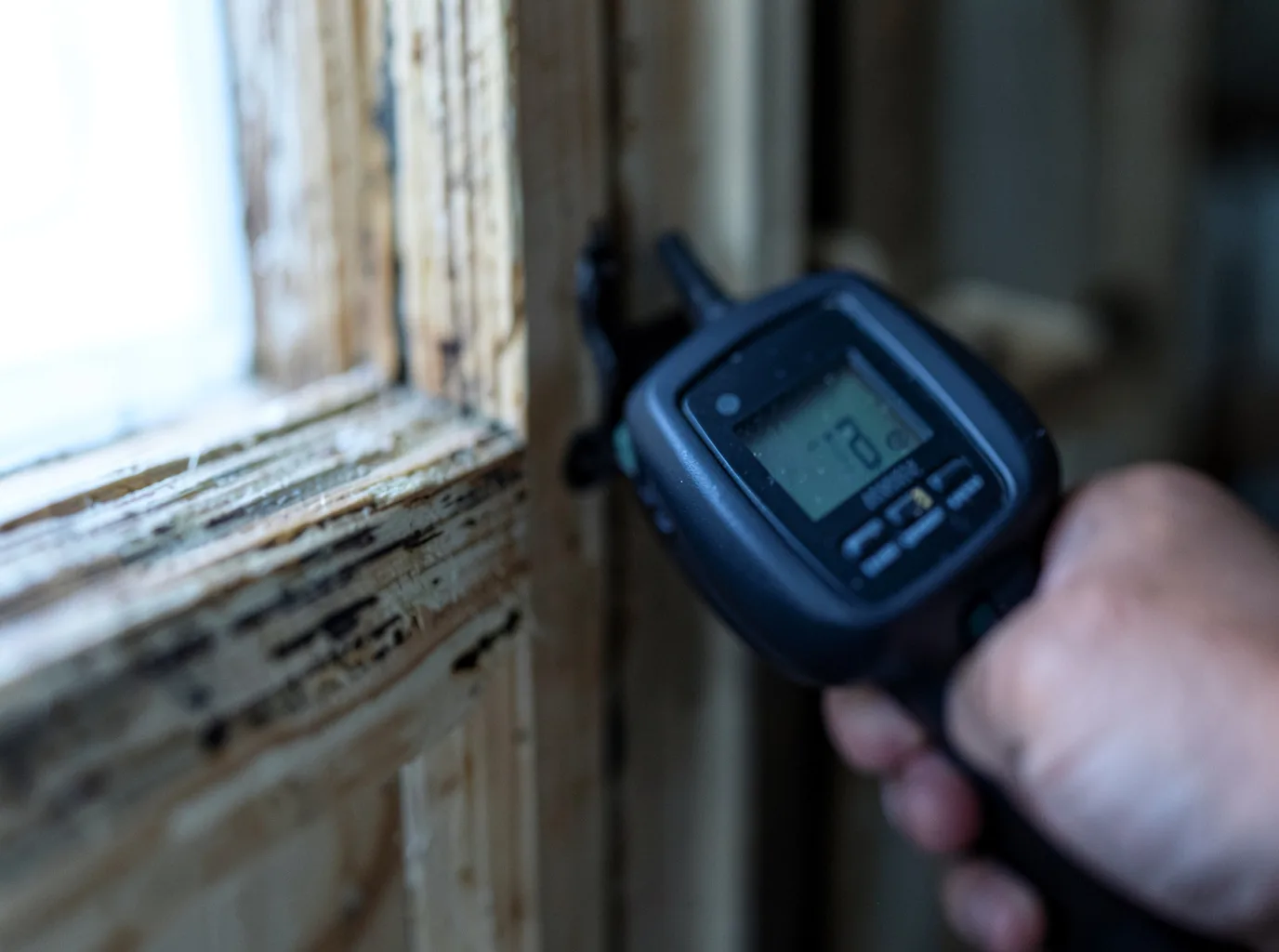 Commercial Water Damage Restoration in Belleville, NJ